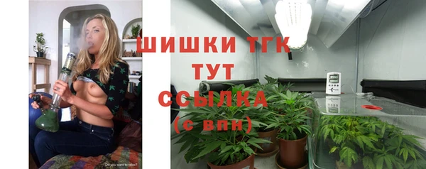гидра Новозыбков