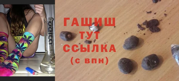 гидра Новозыбков