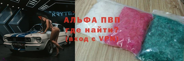 гидра Новозыбков
