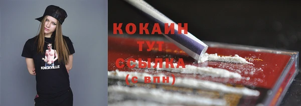 гидра Новозыбков