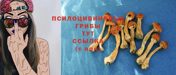 а пвп мука Новодвинск