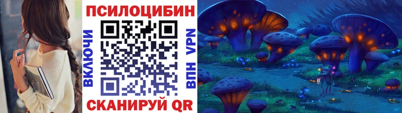 продажа наркотиков  Нижнеудинск  Галлюциногенные грибы мухоморы 