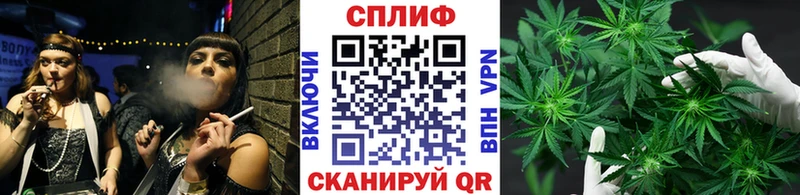 где найти   Нижнеудинск  МАРИХУАНА VHQ 